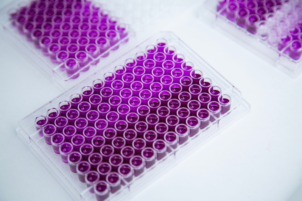 Acyl-CoA synthetase from Microorganism: > 20 U/mg protein;