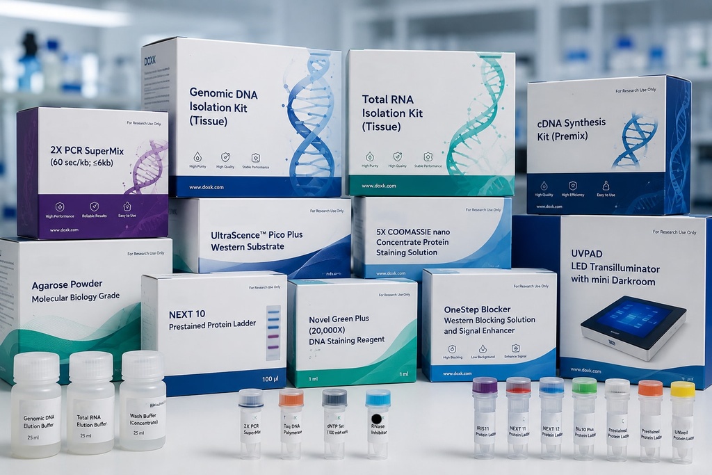 [RK002-0100] cDNA Synthesis Kit (Premix)